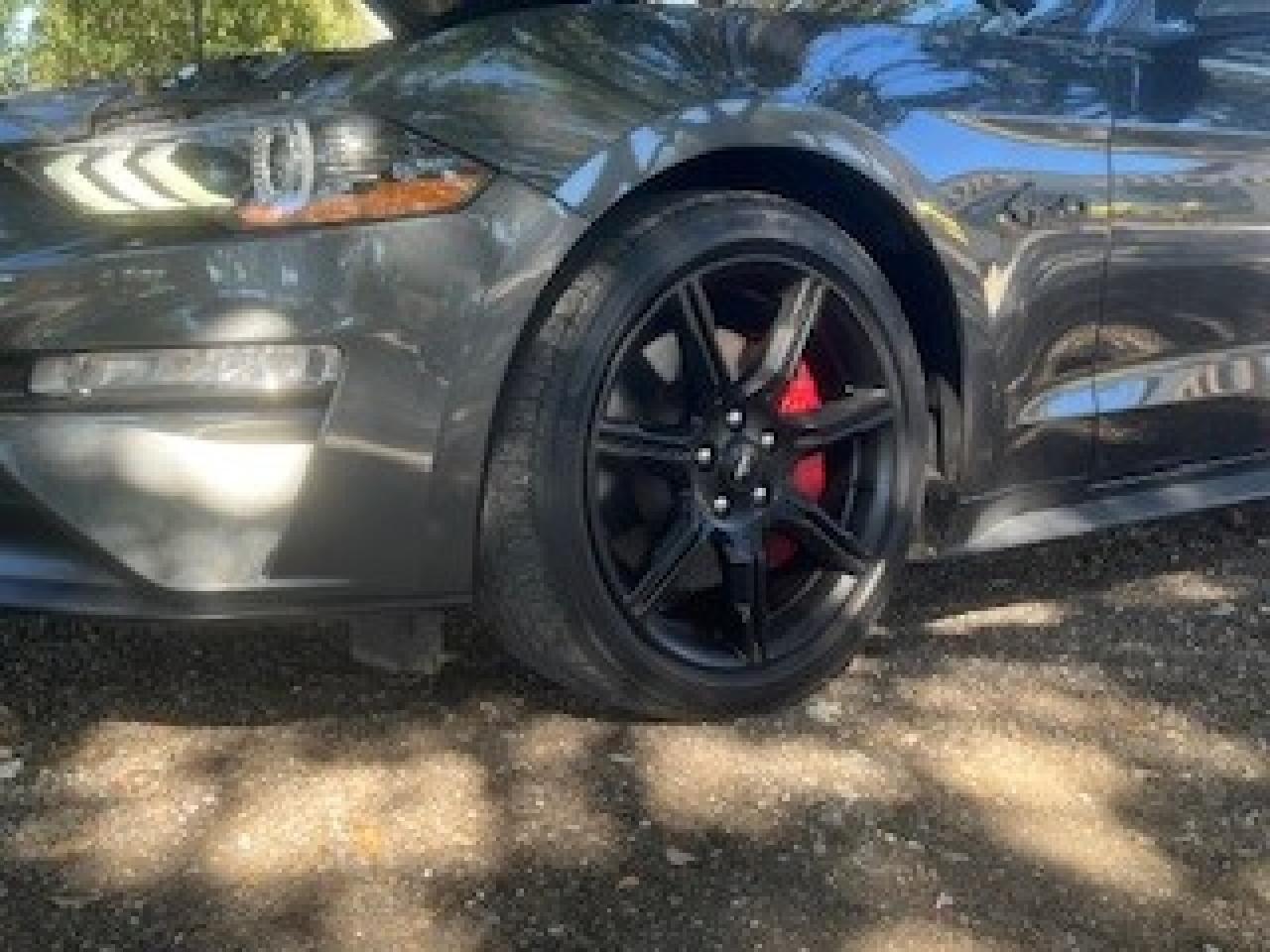 2020 Ford Mustang GT Spring Branch TX