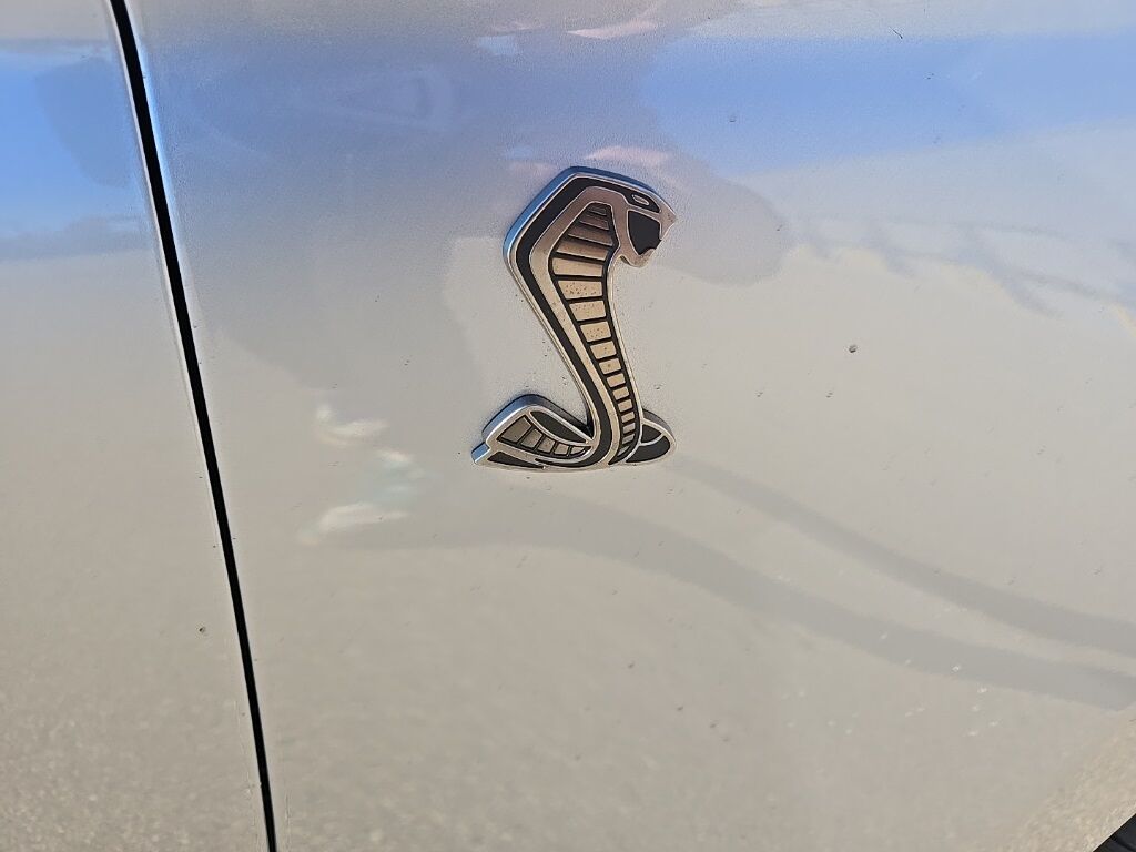 2020 Ford Mustang Shelby GT500 RWD Fond du Lac WI