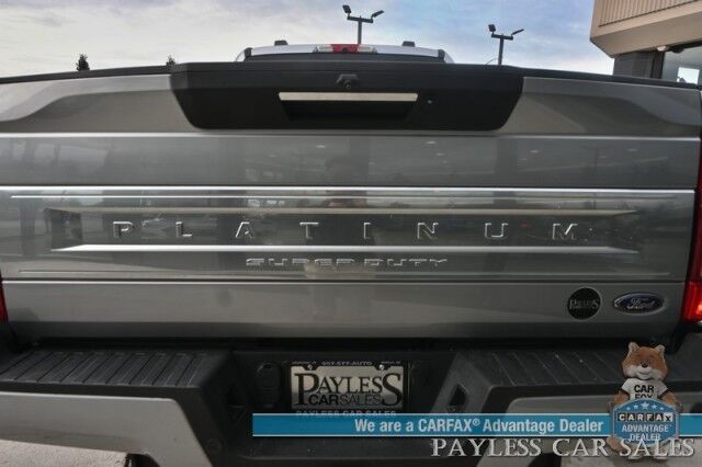 2020 Ford Super Duty F-250 SRW Platinum Wasilla AK