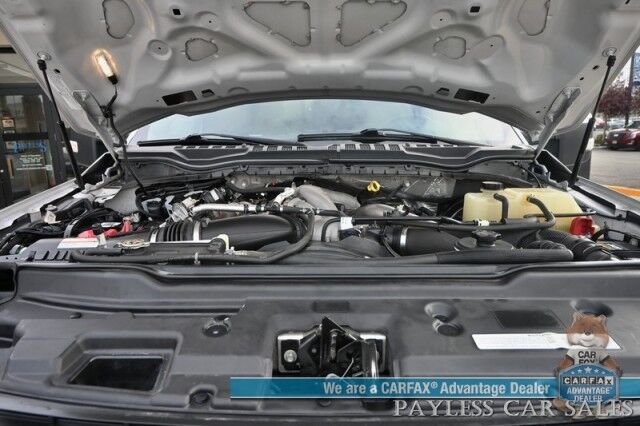2020 Ford Super Duty F-250 SRW Platinum Wasilla AK