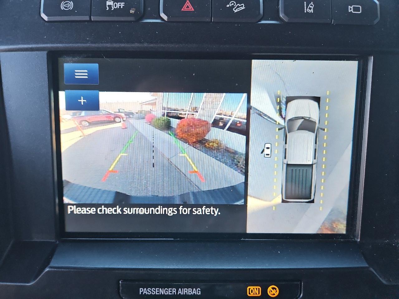 2020 Ford Super Duty F-250 SRW Platinum Grand Junction CO