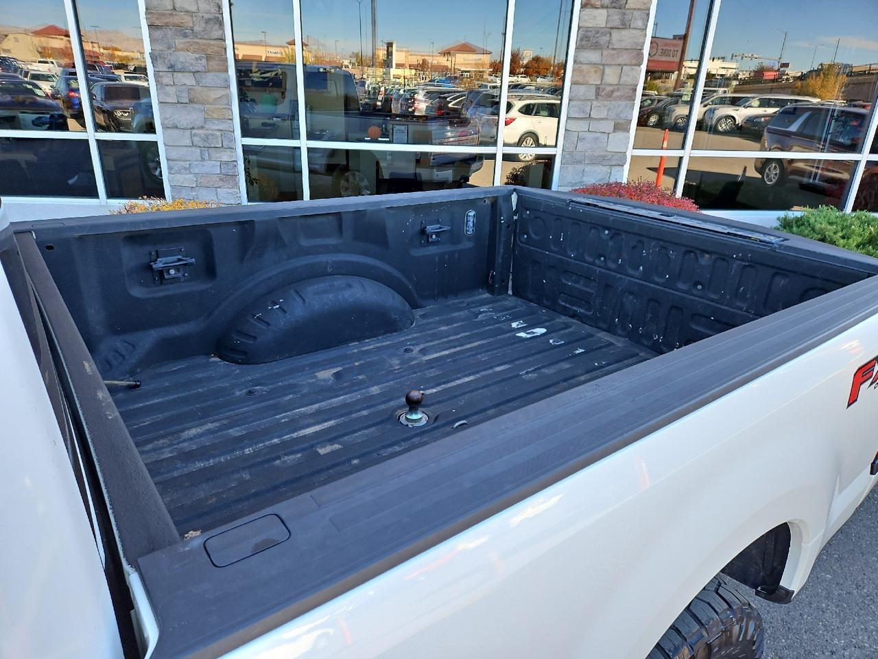 2020 Ford Super Duty F-250 SRW Platinum Grand Junction CO