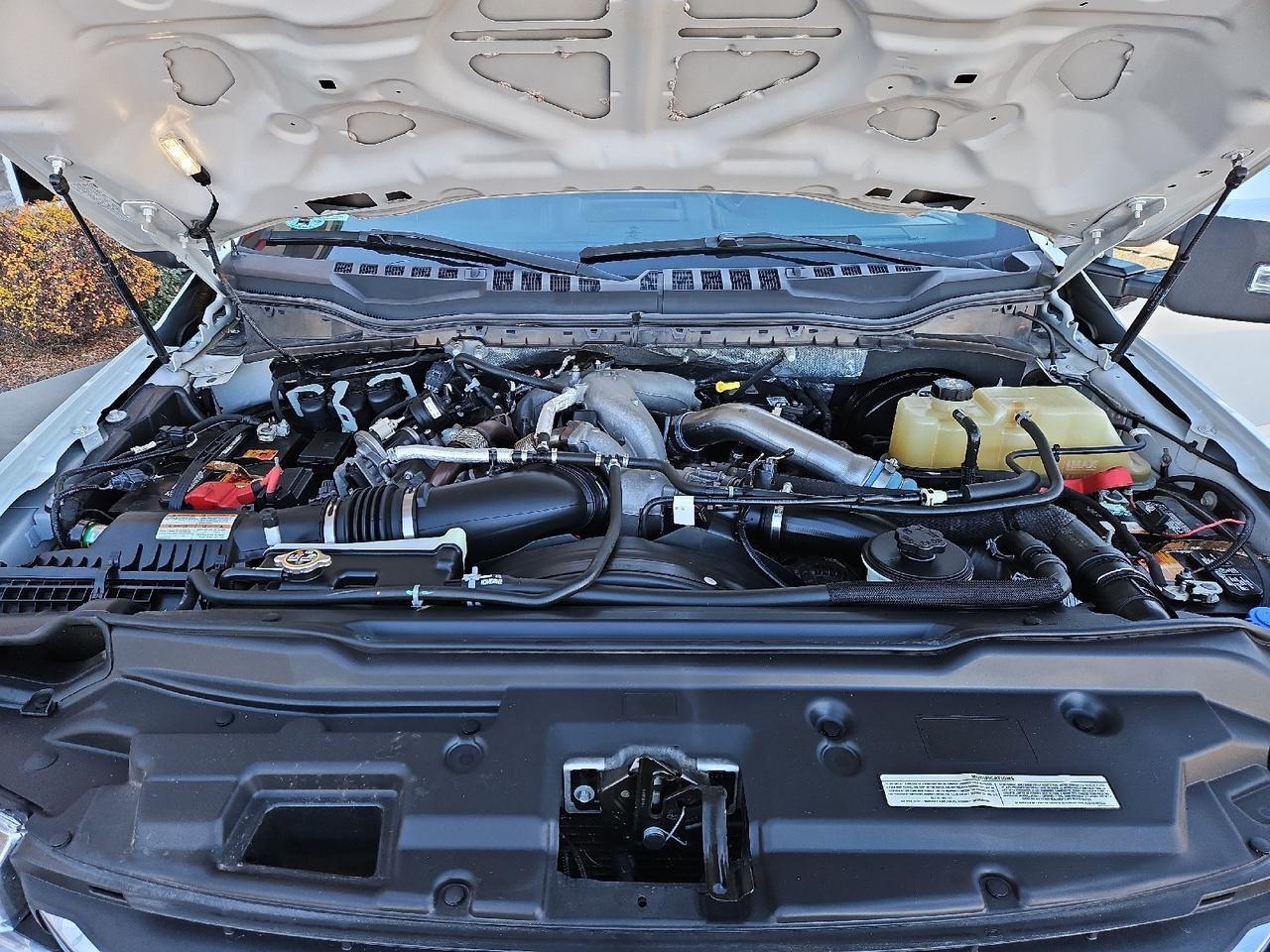 2020 Ford Super Duty F-250 SRW Platinum Grand Junction CO