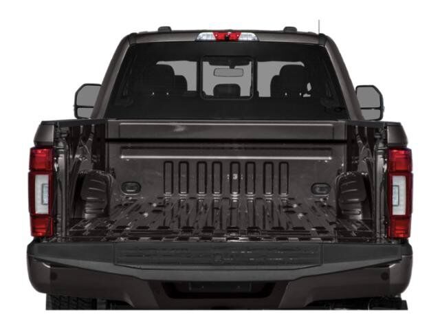2020 Ford Super Duty F-250 SRW Platinum Winder GA