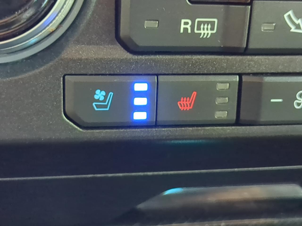 2020 Ford Super Duty F-250 SRW Platinum Winder GA