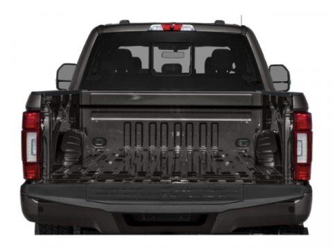 2020 Ford Super Duty F-250 SRW Platinum Winder GA