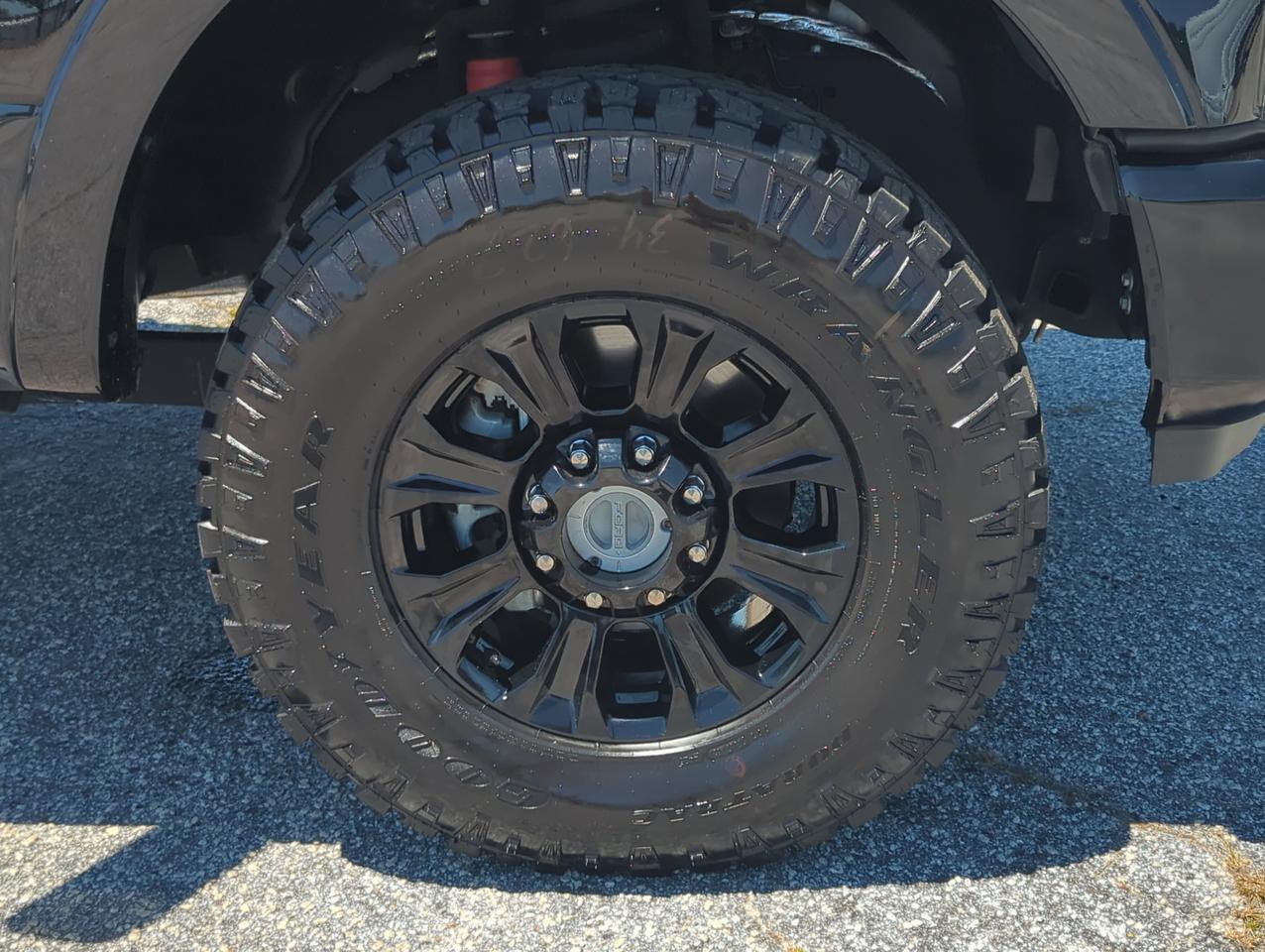 2020 Ford Super Duty F-250 SRW Platinum Winder GA