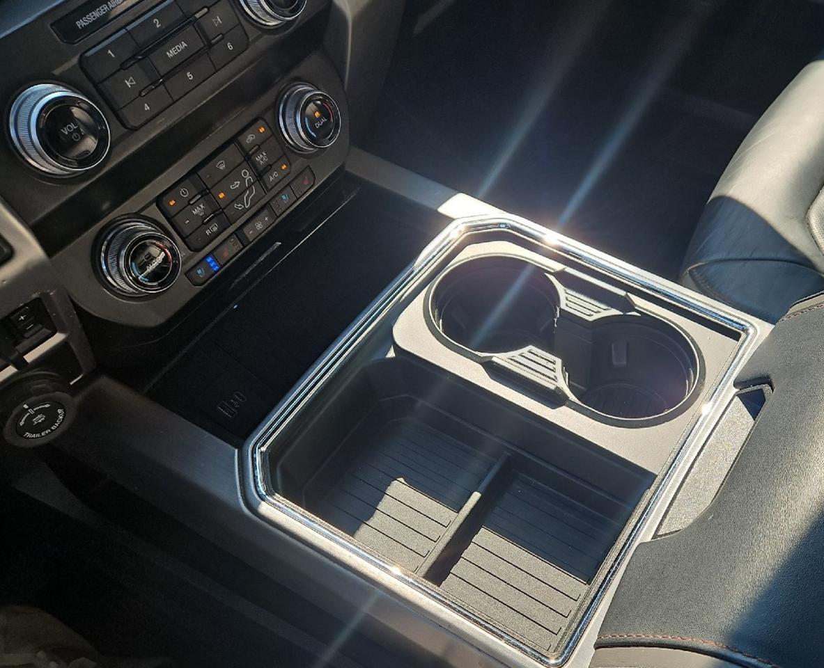 2020 Ford Super Duty F-350 SRW Platinum Grand Junction CO