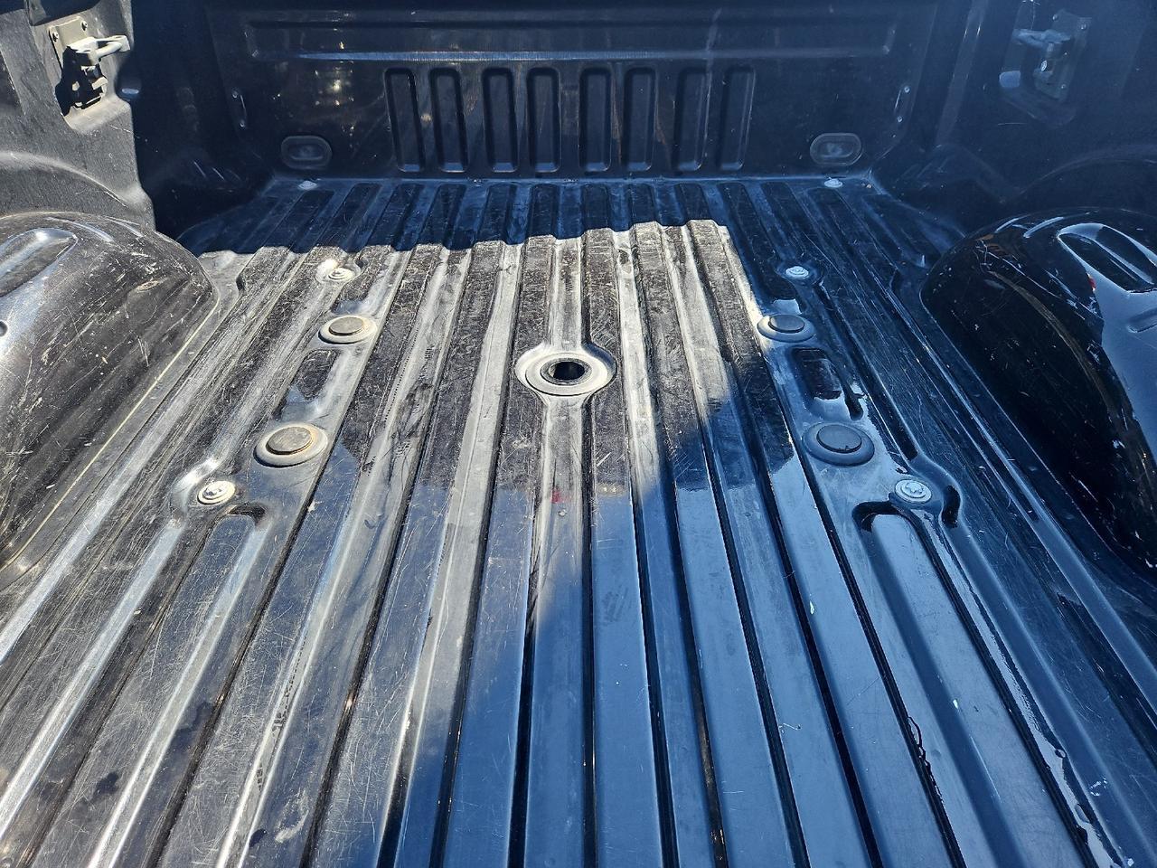 2020 Ford Super Duty F-350 SRW Platinum Grand Junction CO