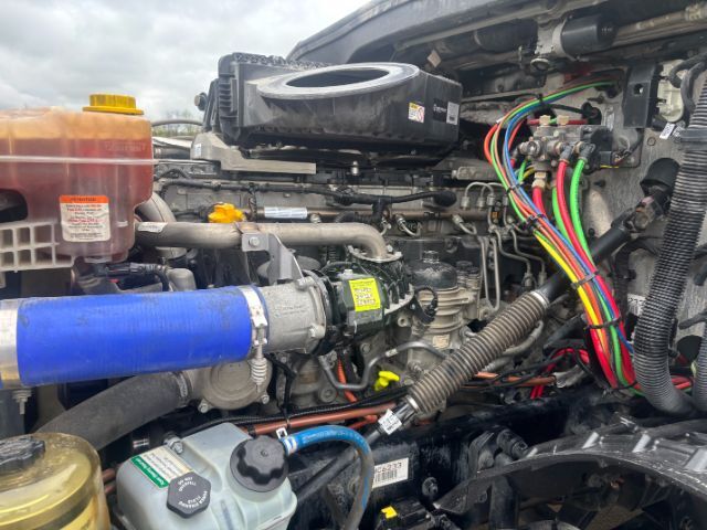 2020 Freightliner Cascadia 126 . Seville OH