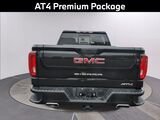 2020 GMC Sierra 1500 AT4 Oshkosh WI