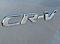 2020 Honda CR-V EX-L Worcester MA