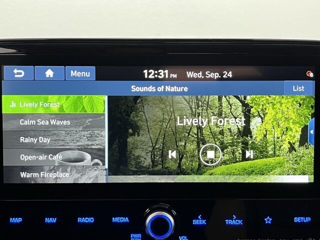 2020 Hyundai Ioniq Electric Limited Carrollton TX