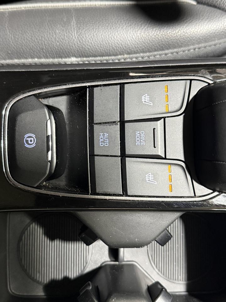 2020 Hyundai Ioniq Electric Limited Maumee OH