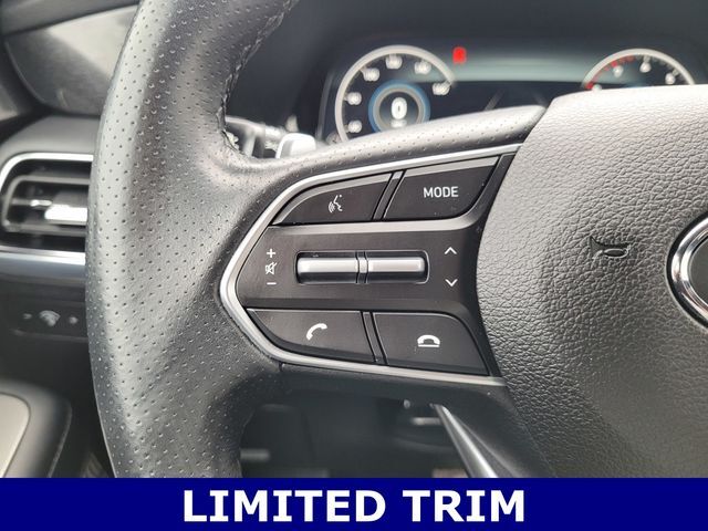 2020 Hyundai Palisade Limited Folsom CA