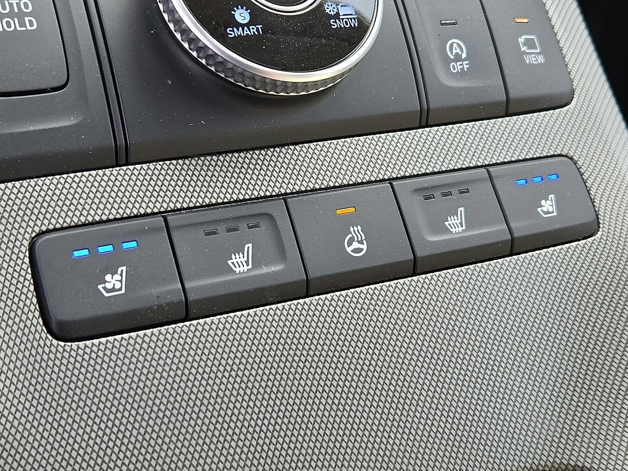 2020 Hyundai Palisade Limited Vineland NJ