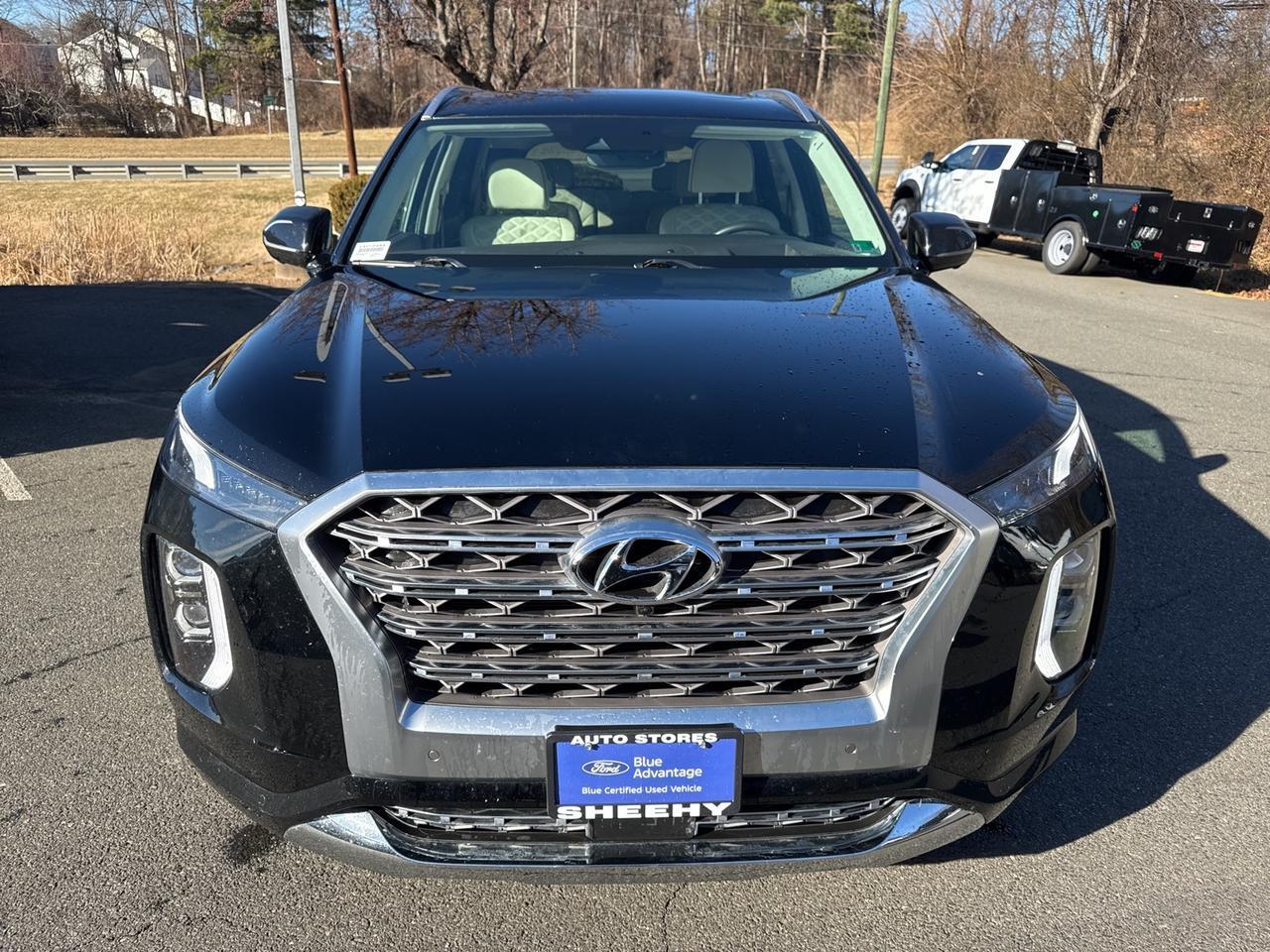 2020 Hyundai Palisade Limited Warrenton VA