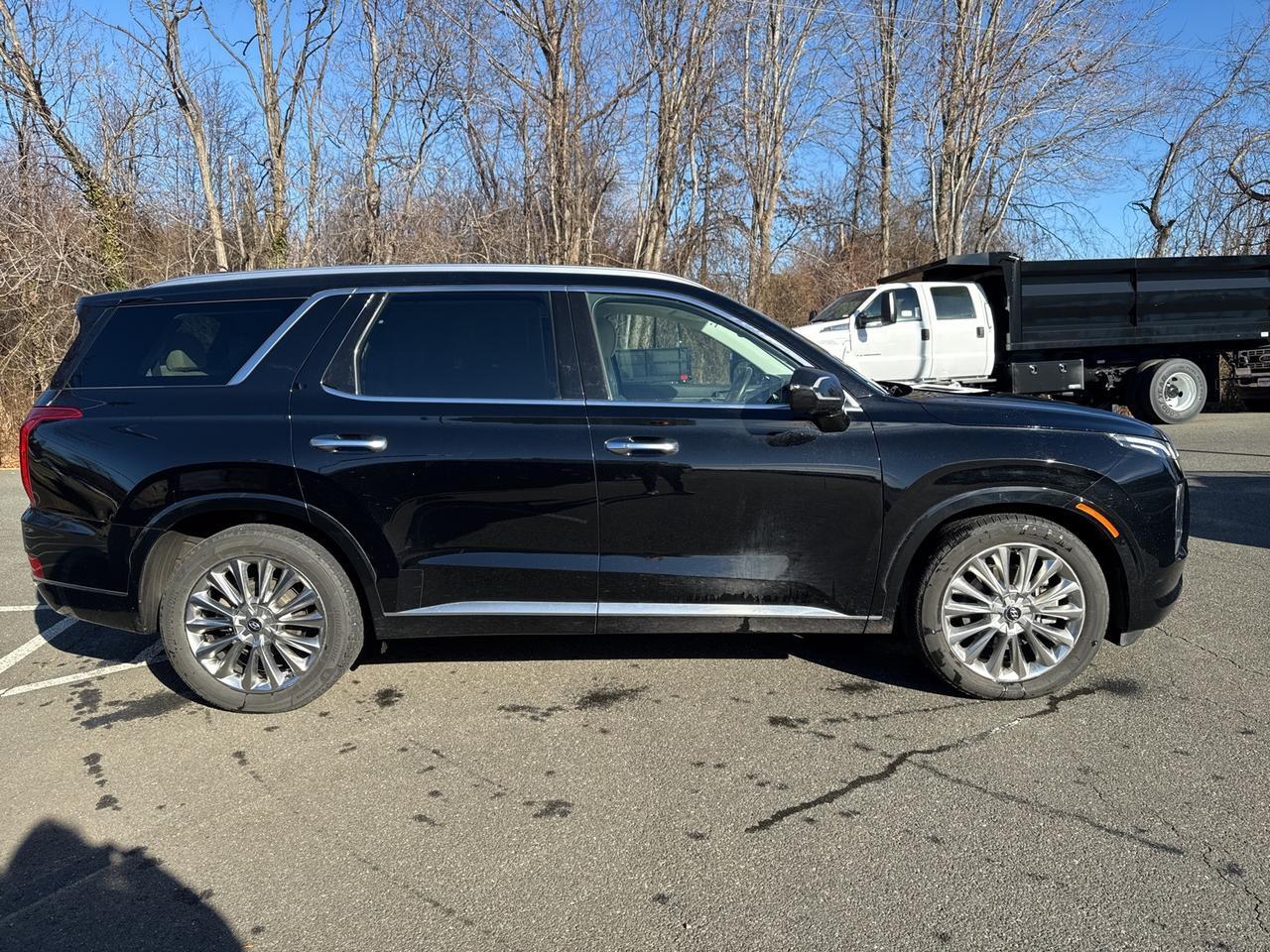 2020 Hyundai Palisade Limited Warrenton VA