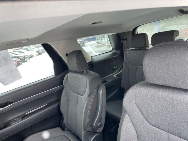 2020 Hyundai Palisade SEL Cleveland OH