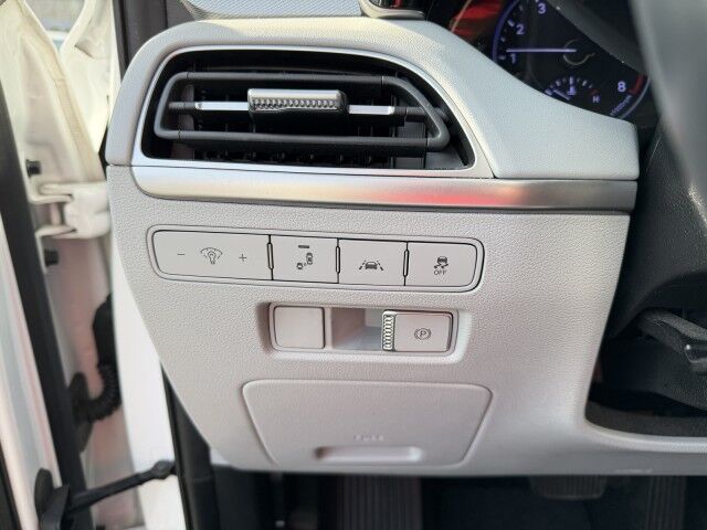 2020 Hyundai Palisade SEL Conover NC