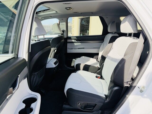 2020 Hyundai Palisade SEL Conover NC