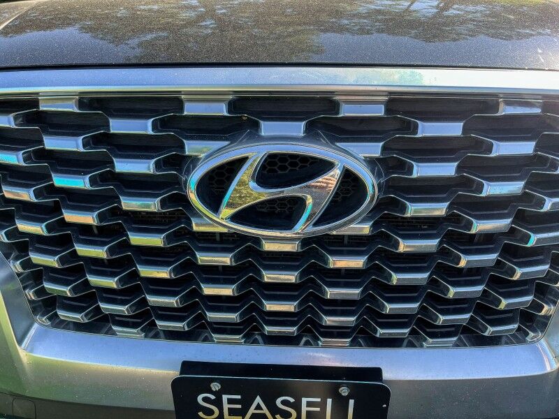 2020 Hyundai Palisade SEL Wilmington NC