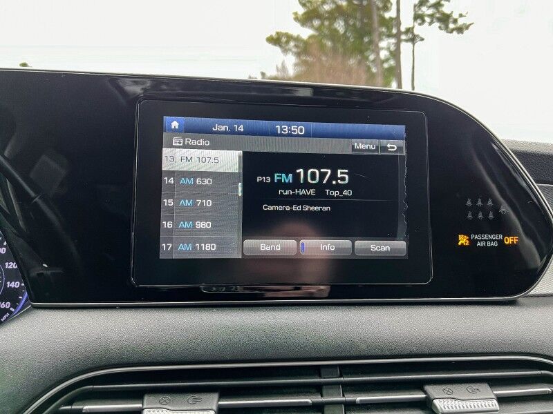 2020 Hyundai Palisade SEL Wilmington NC