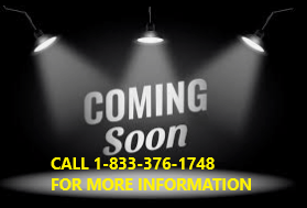 2020 IC INTERNATIONAL CE300