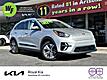 2020 Kia Niro EV EX