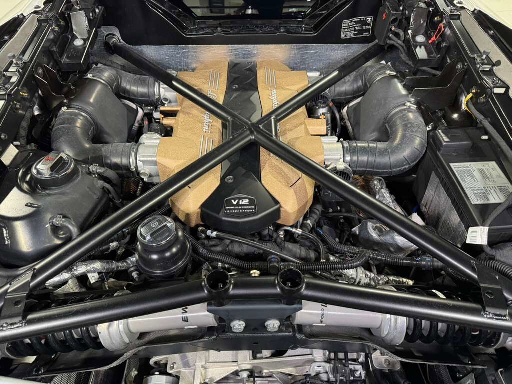 2020 Lamborghini Aventador SVJ Roadster Bianco Canopus paint, painted &quot;SVJ&quot;, Ad Personam interior, comfort seats AND MUCH MORE! Fort Lauderdale FL