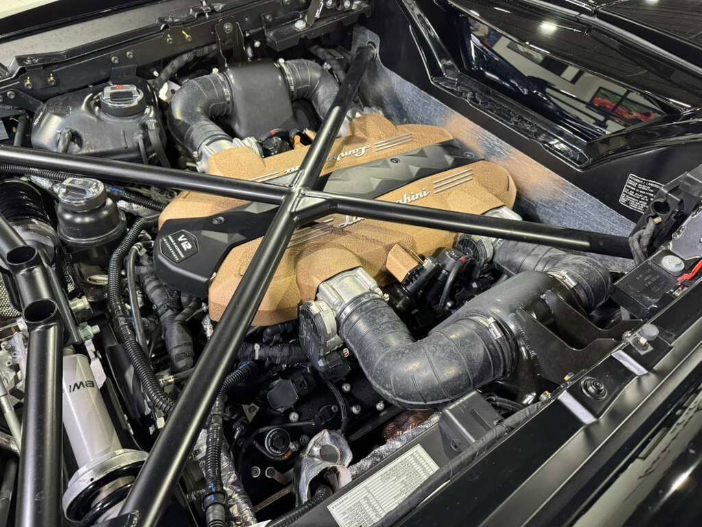2020 Lamborghini Aventador SVJ Roadster Bianco Canopus paint, painted &quot;SVJ&quot;, Ad Personam interior, comfort seats AND MUCH MORE! Fort Lauderdale FL