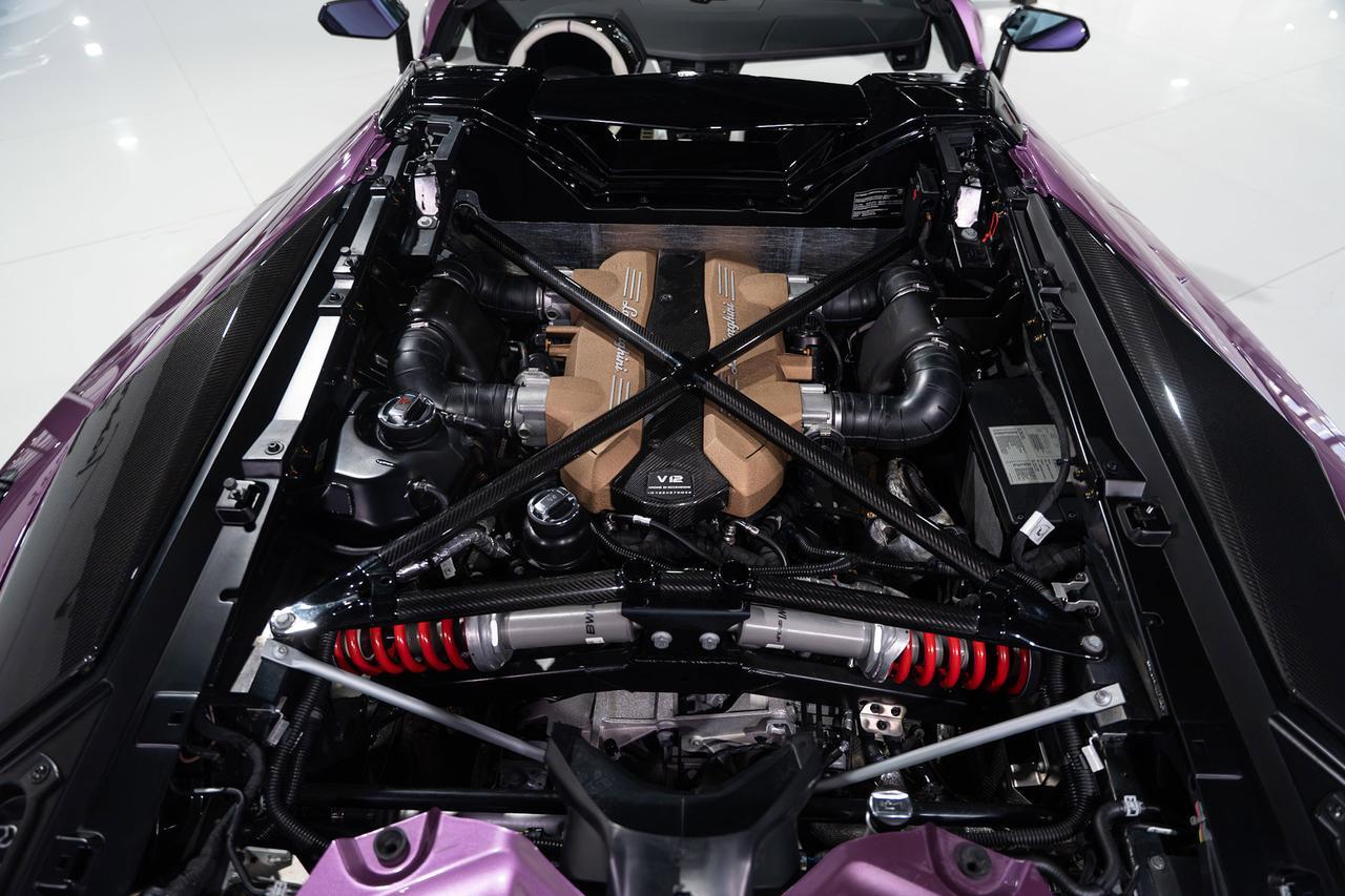 2020 Lamborghini Aventador SVJ Roadster Viola SE30 paint,painted "SVJ",Ad Personam interior,Sensonum audio,carbon galore & MORE Fort Lauderdale FL