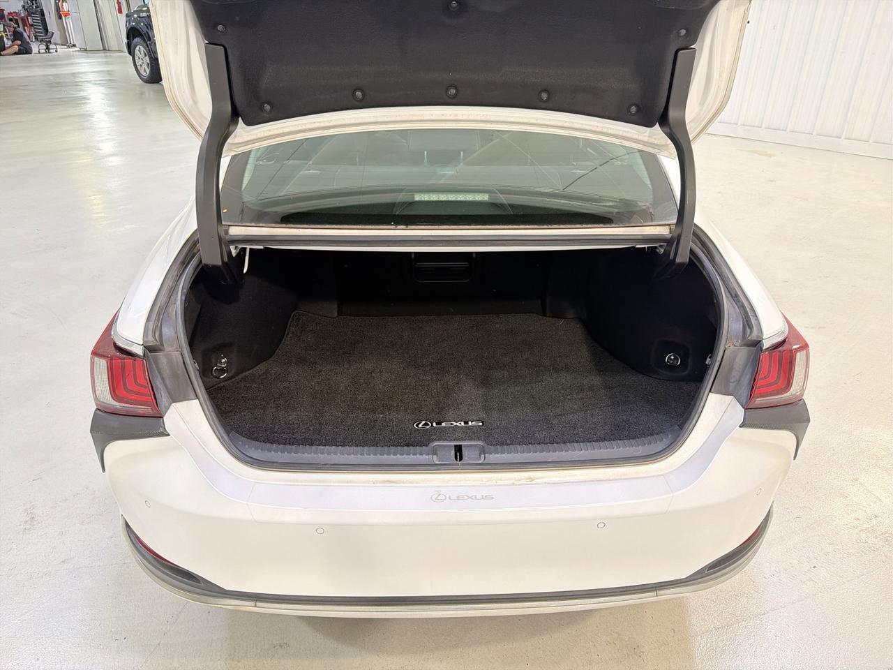 2020 Lexus ES 300h San Antonio TX