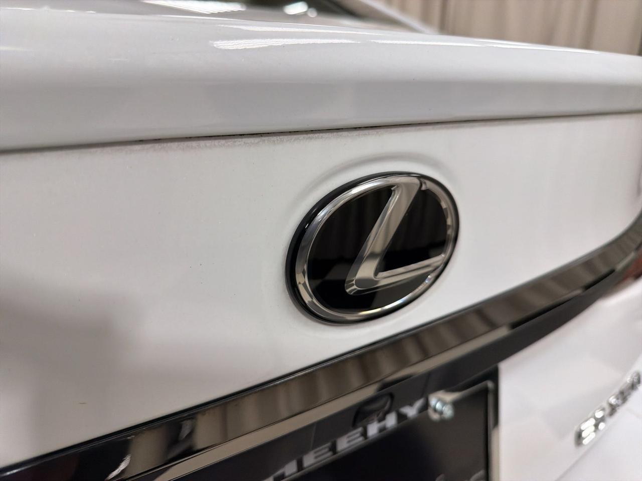 2020 Lexus ES 350 F Sport Annapolis MD