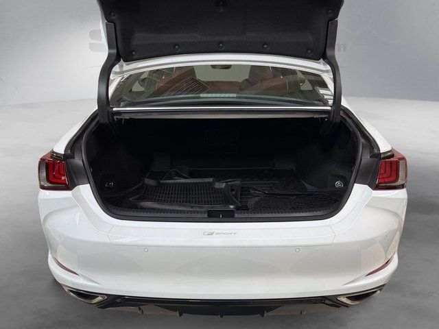 2020 Lexus ES 350 F Sport Annapolis MD