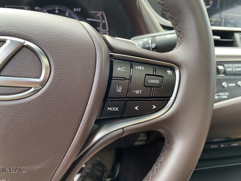 2020 Lexus ES 350 Ultra Luxury Springfield PA