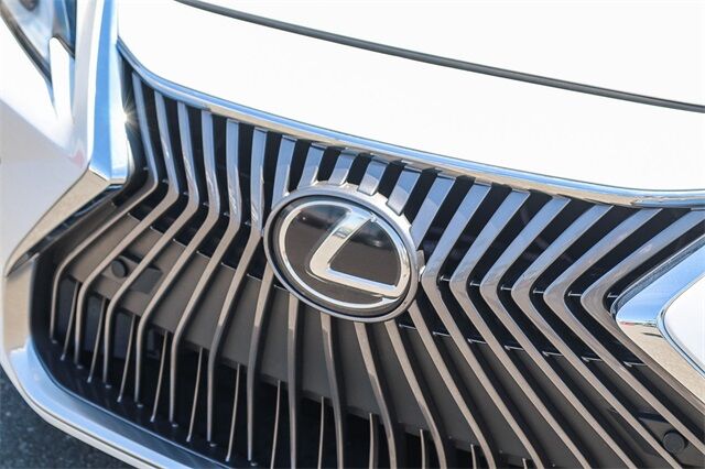 2020 Lexus ES 350 Moreno Valley CA