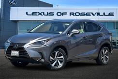 2020_Lexus_NX__ Roseville CA