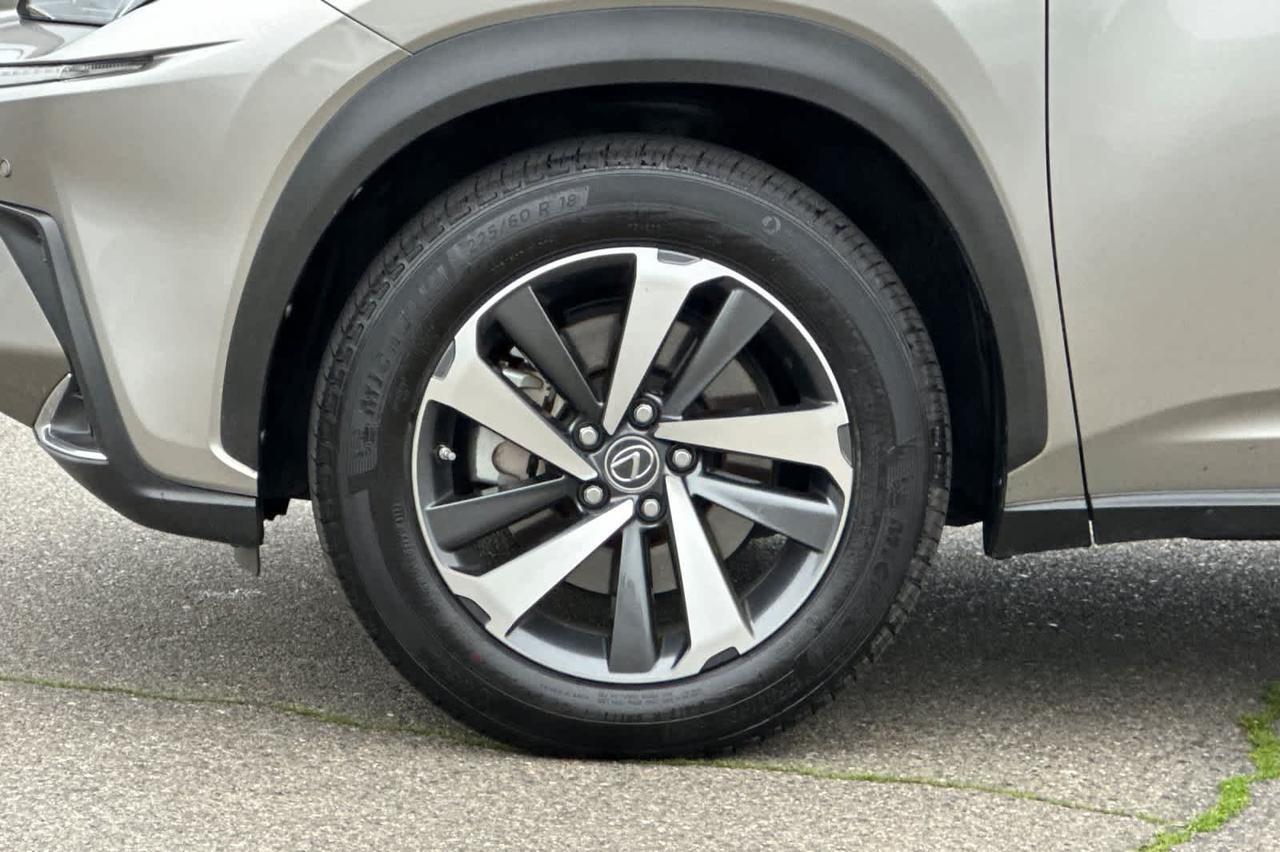 2020 Lexus NX Roseville CA