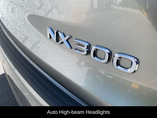 2020 Lexus NX 300 Base Raleigh NC