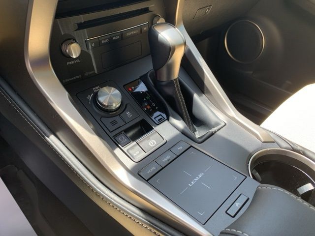 2020 Lexus NX 300 Base Raleigh NC