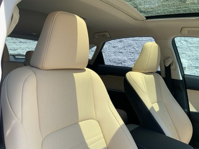 2020 Lexus NX 300 Base Raleigh NC