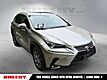 2020 Lexus NX 300 Base