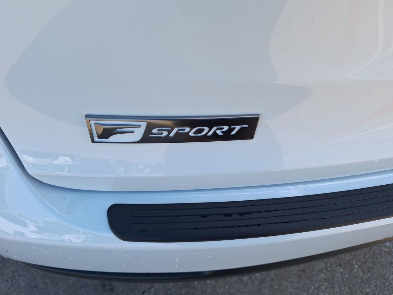 2020 Lexus NX 300 F SPORT Hurst TX