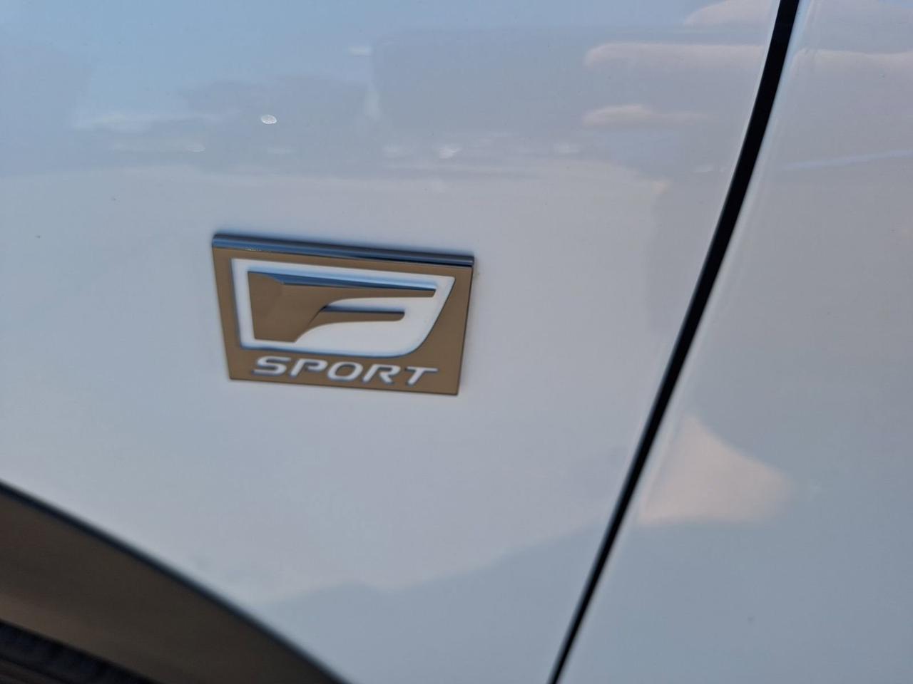 2020 Lexus NX 300 F SPORT Hurst TX