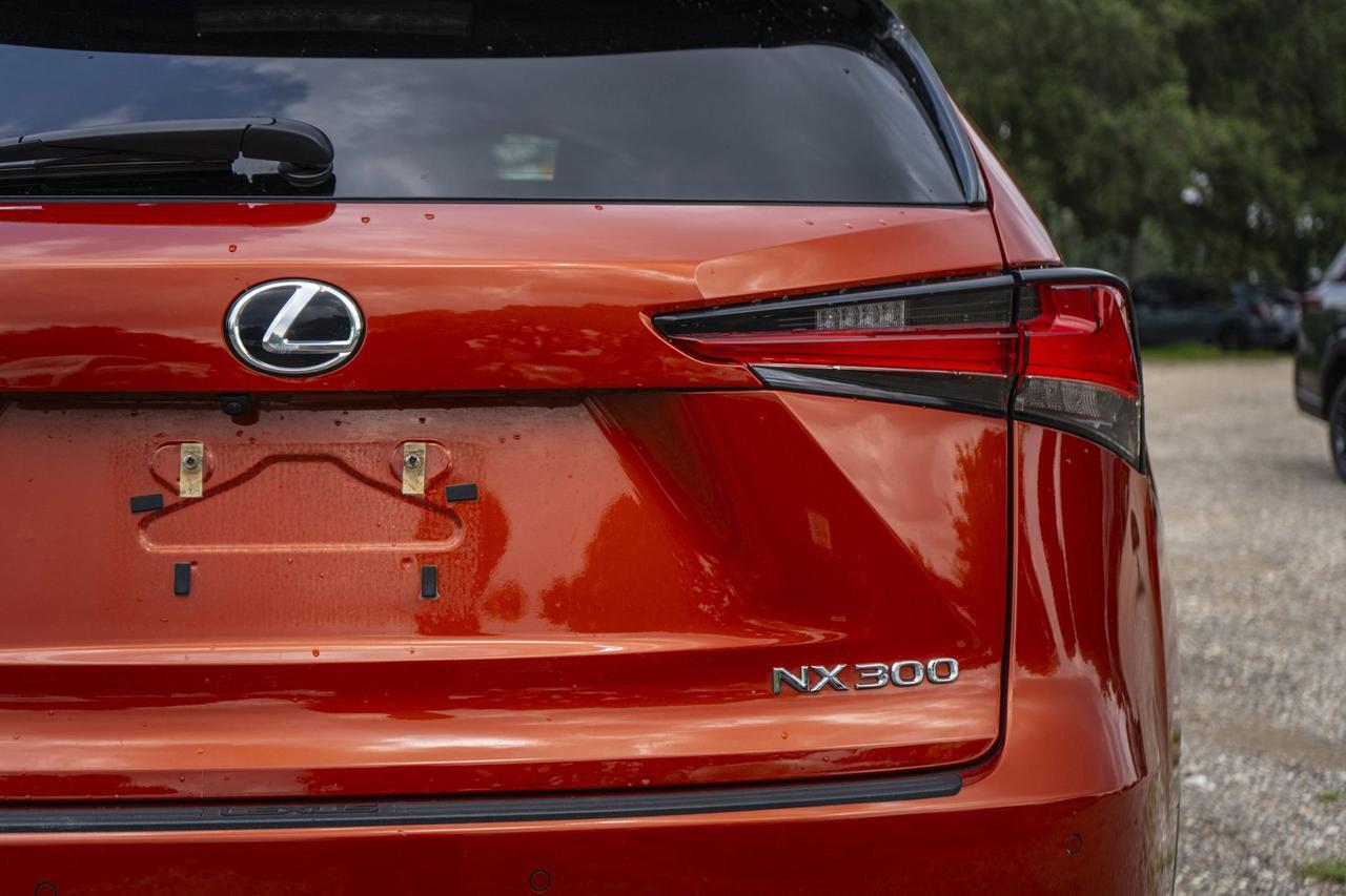 2020 Lexus NX 300 F SPORT San Antonio TX