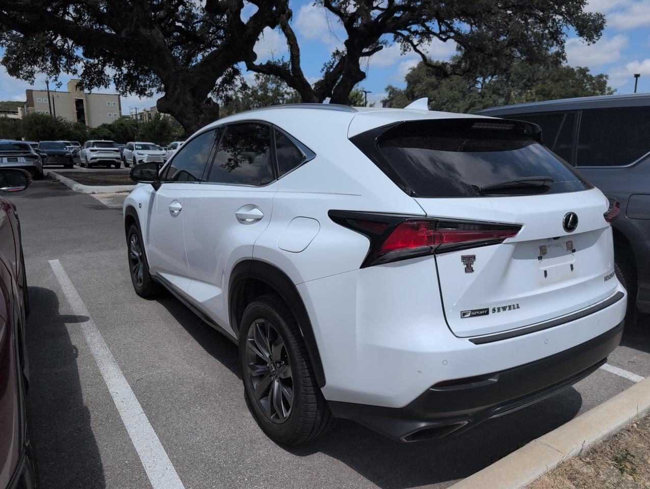 2020 Lexus NX 300 F SPORT