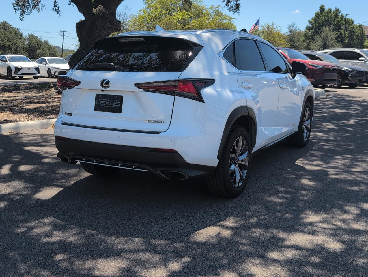 2020 Lexus NX 300 F SPORT
