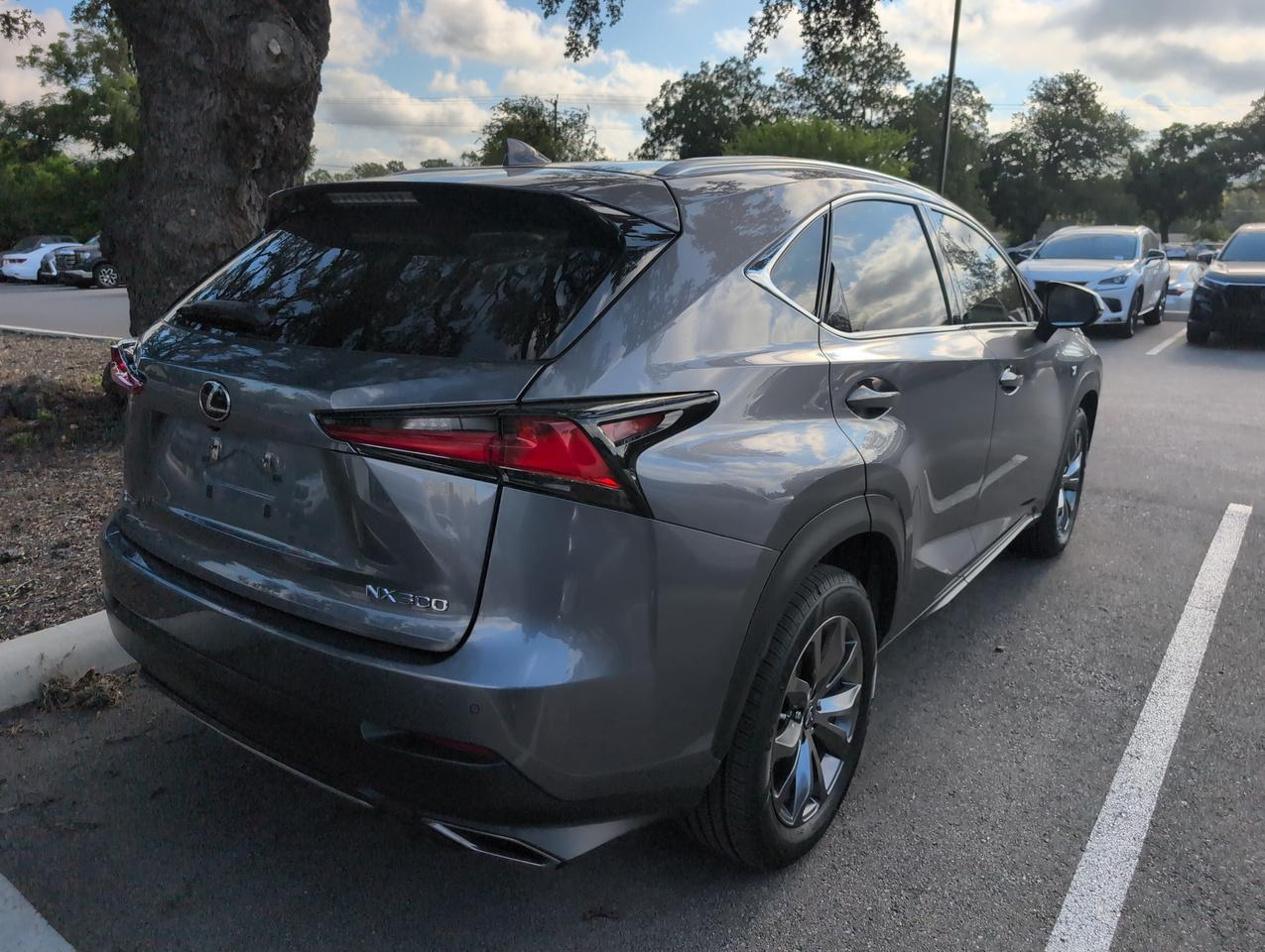 2020 Lexus NX 300 F SPORT