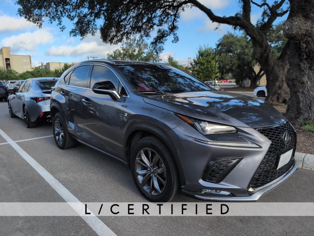 2020 Lexus NX 300 F SPORT